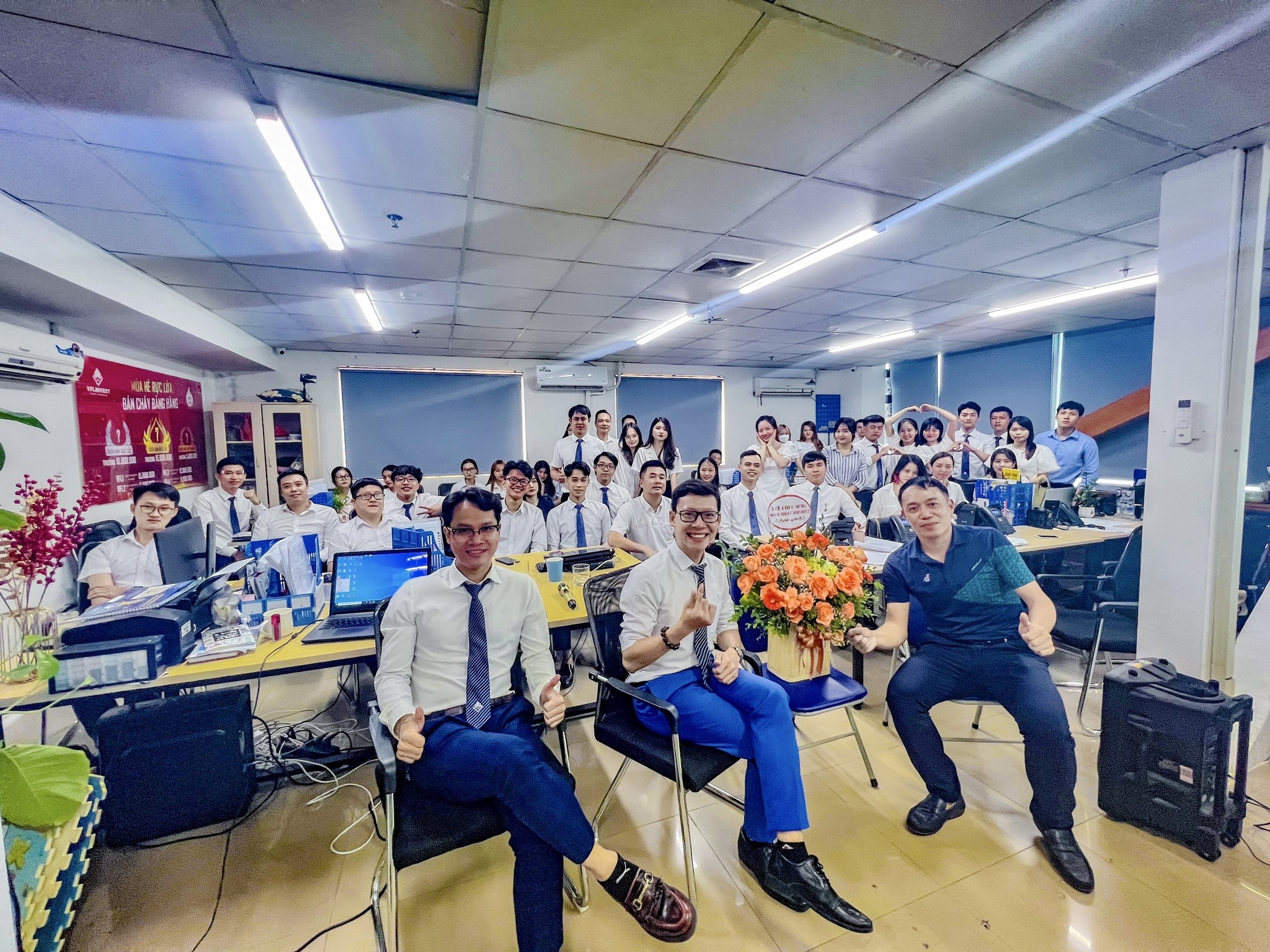 lĩnh vực hoạt động